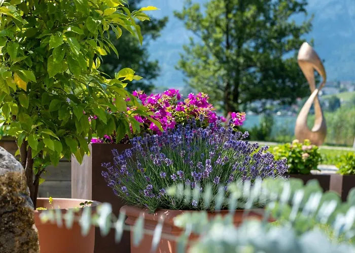 Seehotel Restaurant Lackner Hotel Mondsee