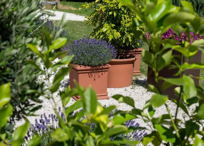 Seehotel Restaurant Lackner Hotel 4*