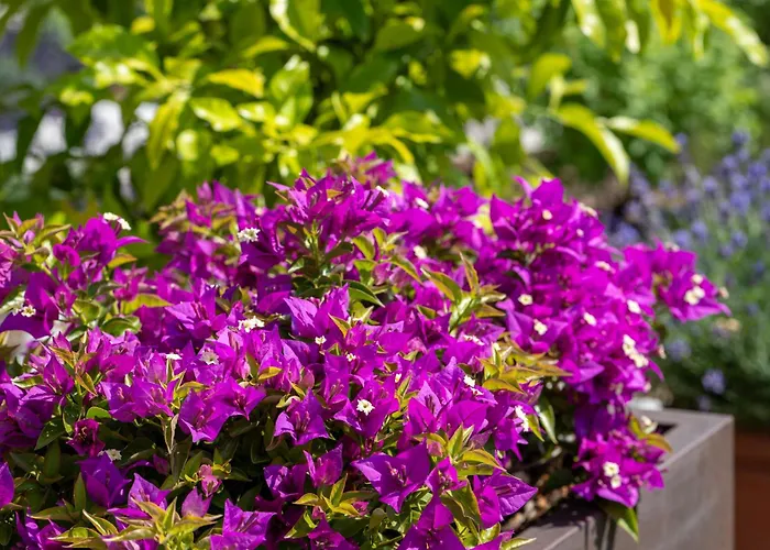 Hotel Seehotel Restaurant Lackner 4*