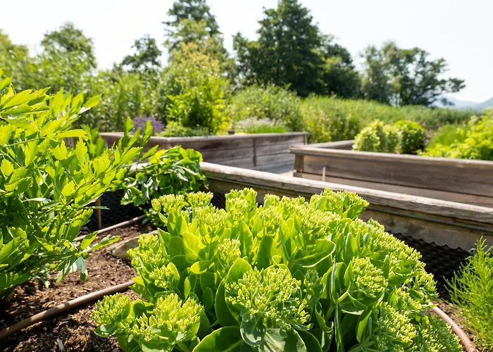 Seehotel Restaurant Lackner Mondsee